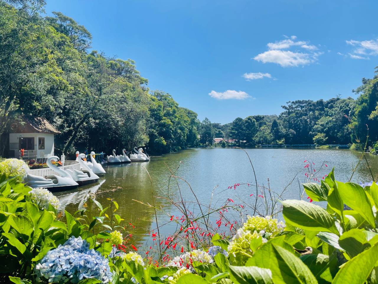 Villa Flor Ecoresort